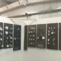 a group of black and white pictures hanging on a wall